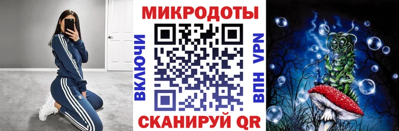 MEGA зеркало  Заволжье  Псилоцибиновые грибы Psilocybe 