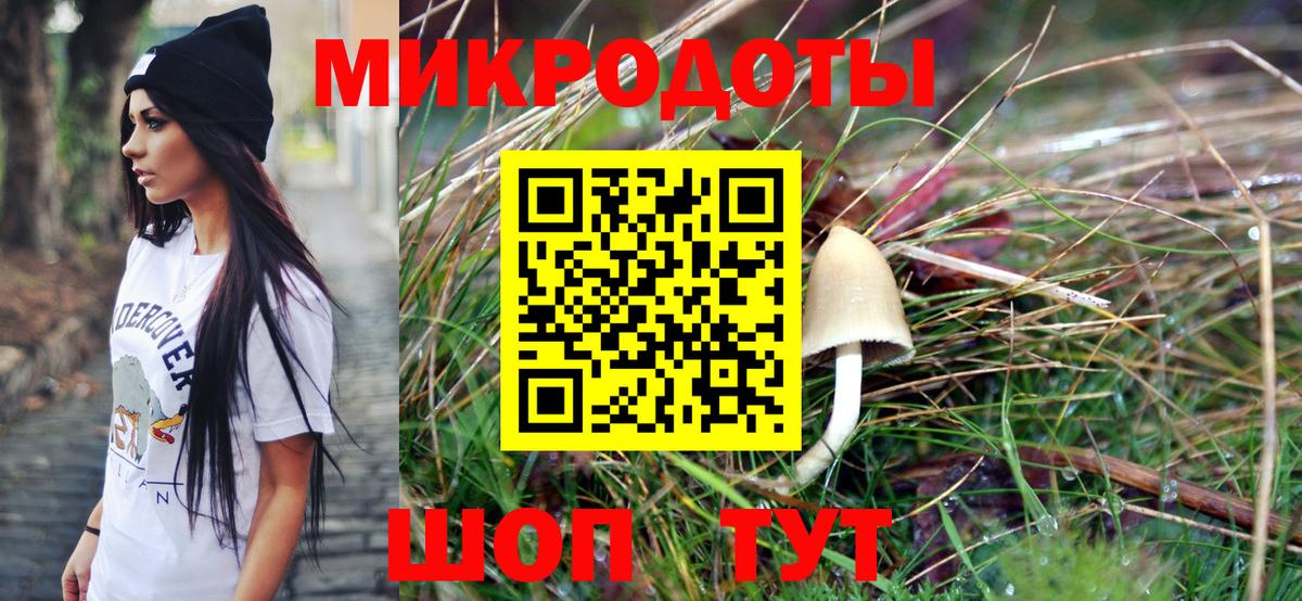 Заволжье  Галлюциногенные грибы Cubensis  Вход с VPN 